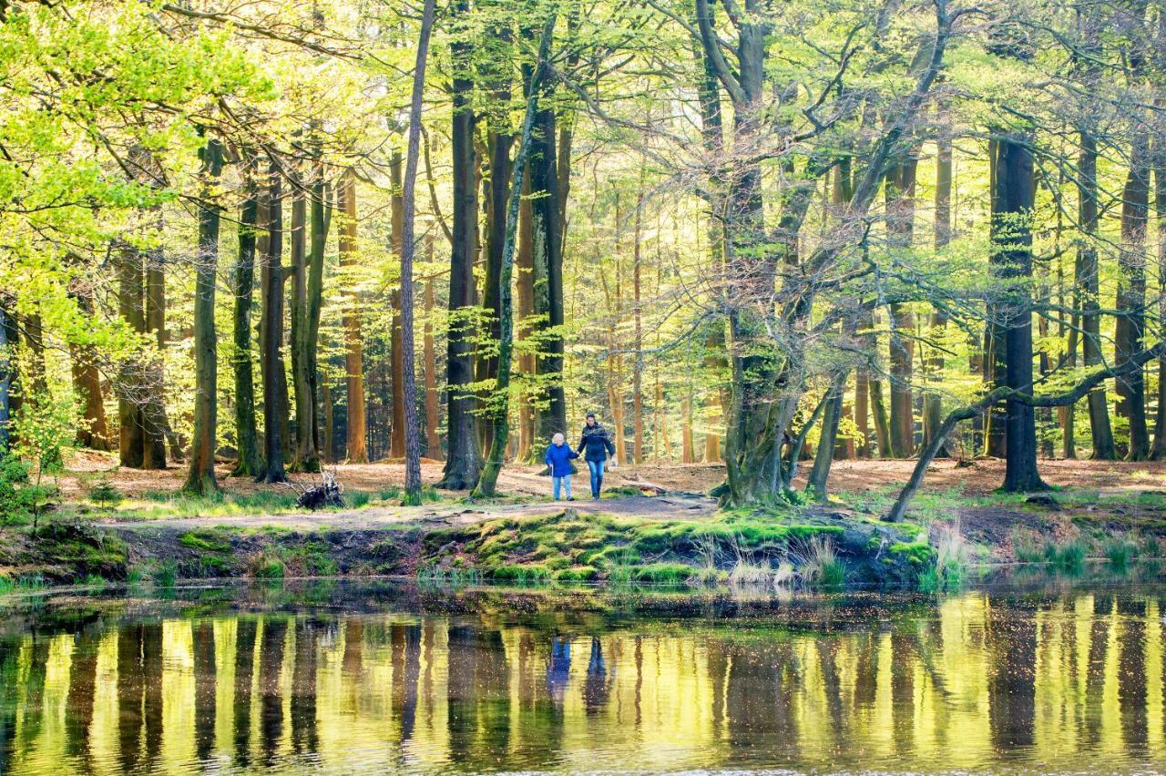 Vila Koetshuis Landgoed Lauswolt Beetsterzwaag Exteriér fotografie